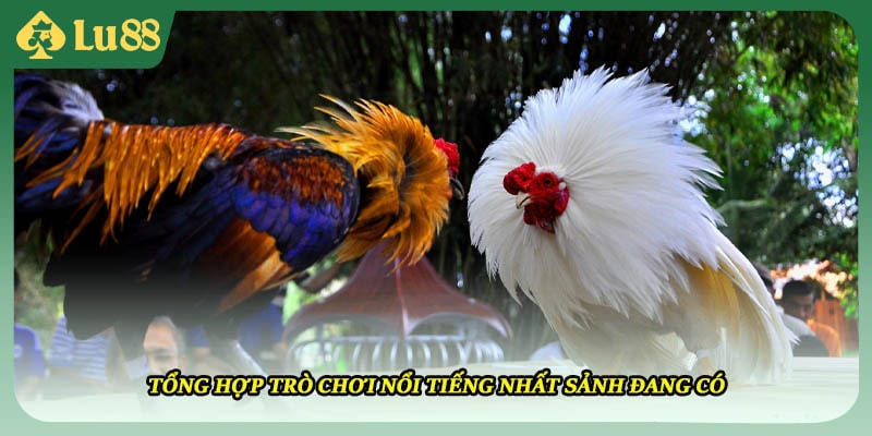 Tổng hợp trò chơi nổi tiếng nhất sảnh đang có